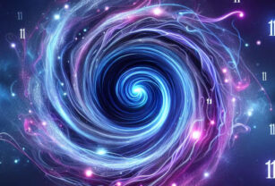 portal 11/11