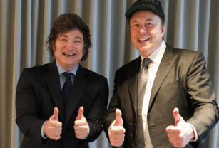 sturzenegger elon musk milei