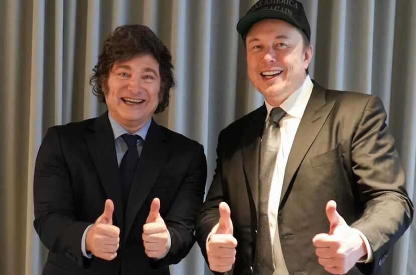 sturzenegger elon musk milei