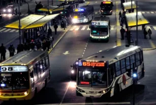 colectivos