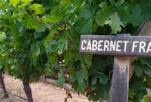 Cabernet franc