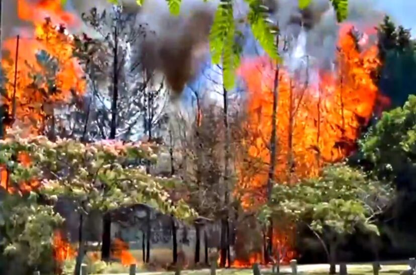Incendio campo de Golf