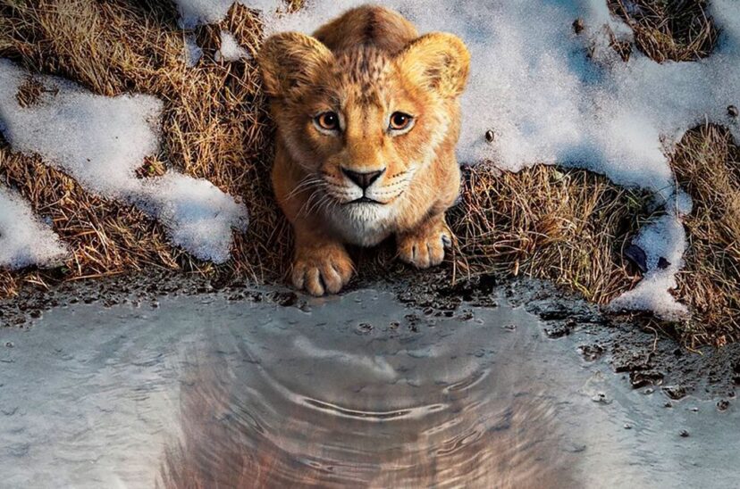 Mufasa gnula