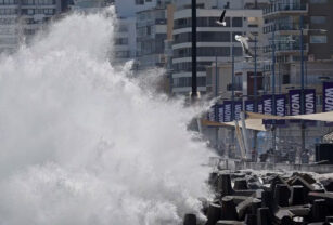 Viña del mar