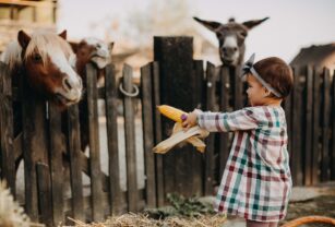 hijos productores rurales alergias