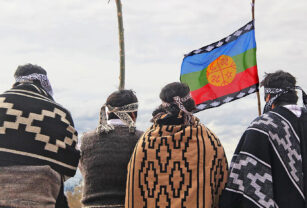 pueblo mapuche