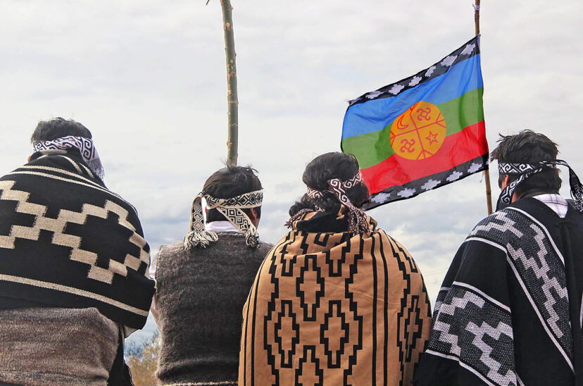 pueblo mapuche