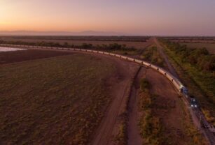 tren de cargas campo logística inversiones bunge