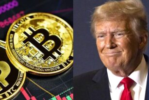 Bitcoin Trump