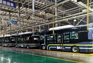 Ciudad transporte