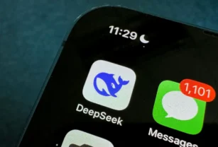 DeepSeek