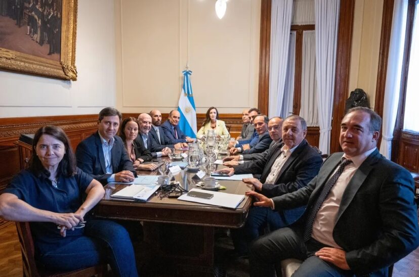 Francos Villarruel senadores PASO