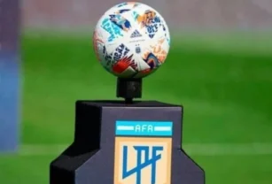 Liga profesional