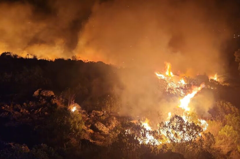 Tandil incendio final