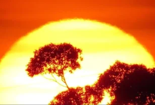 caluroso cambio climático temperaturas