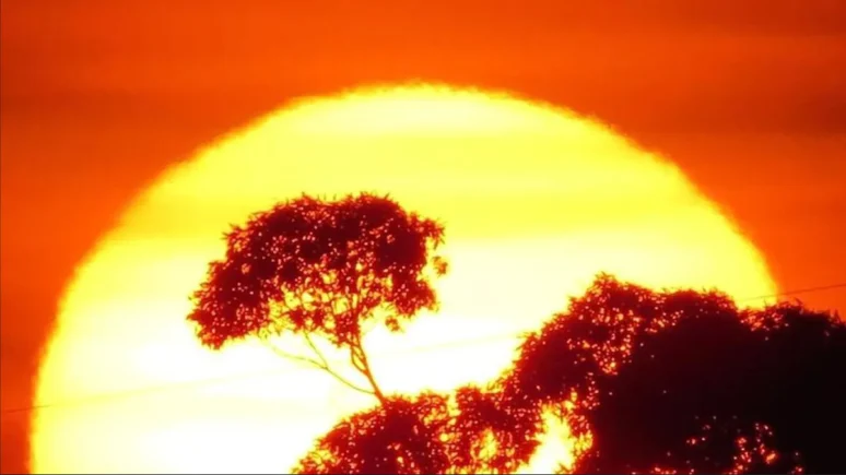 caluroso cambio climático temperaturas