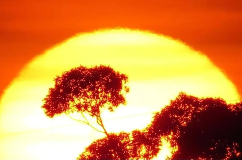 caluroso cambio climático