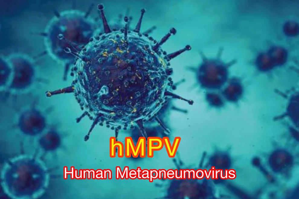 china metapneumovirus humano