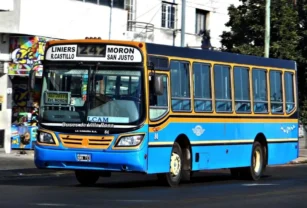 colectivos