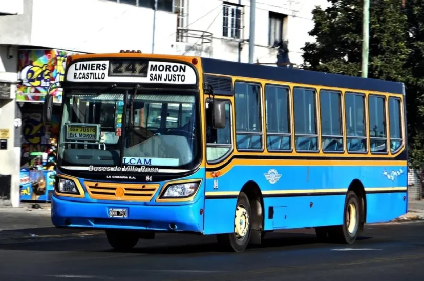 colectivo