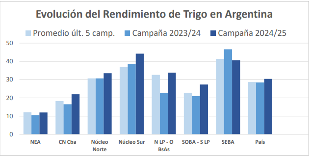 Rendimiento de trigo
