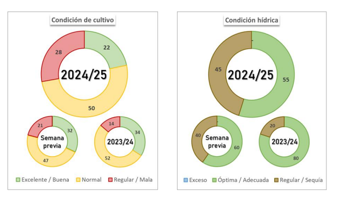 condición hídrica y estado de la soja