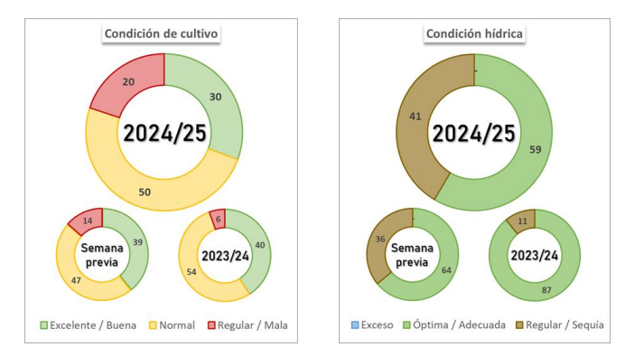 condicipon hídrica y estado del maíz