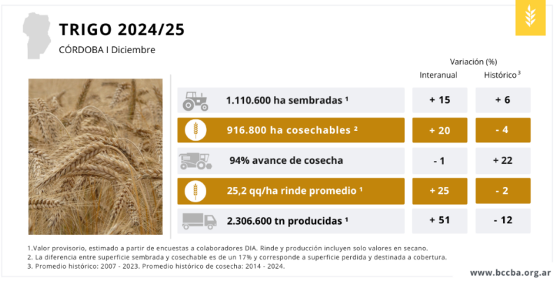 Producción de trigo Córdoba