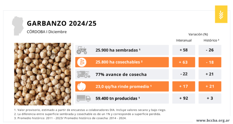 Producción de garbanzo Córdoba