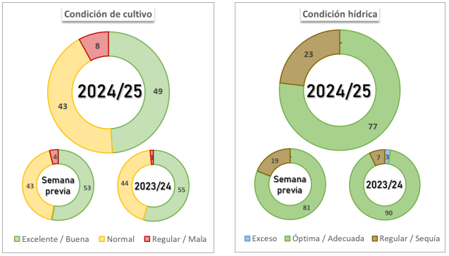 Condición hídrica y de cultivo de la soja