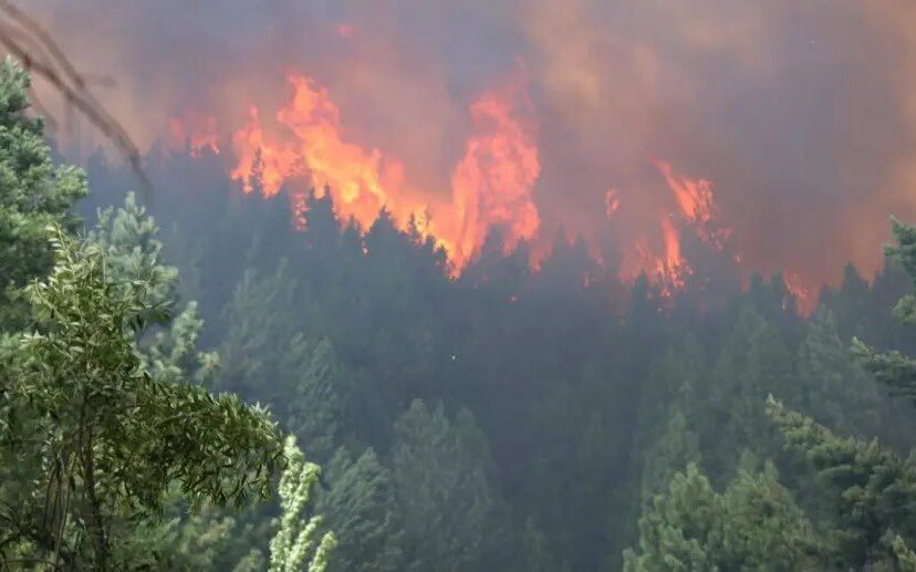 Incendios forestales