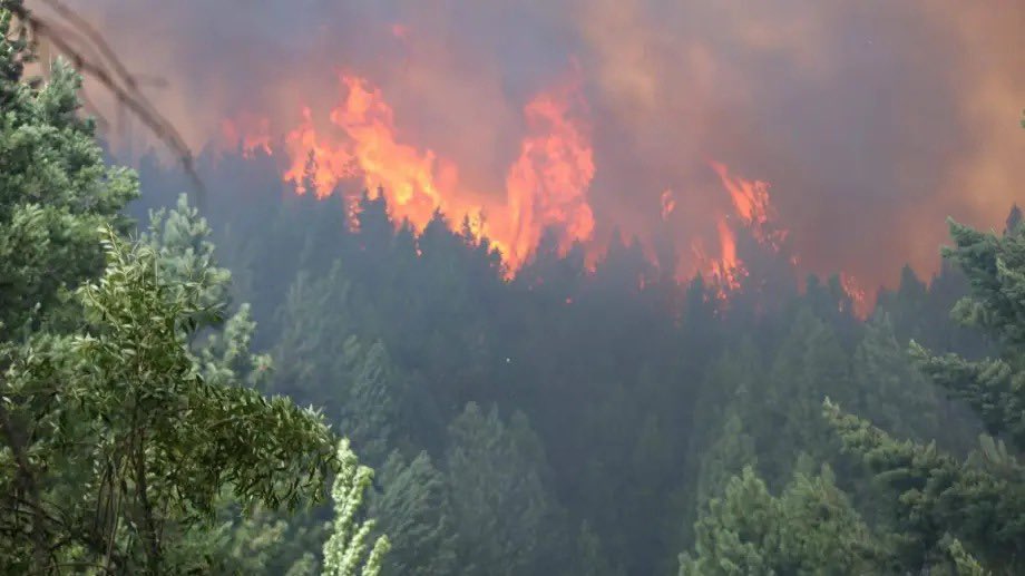 Incendios forestales