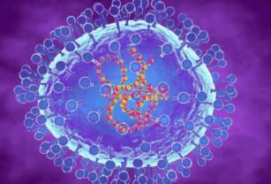 Metapneumovirus humano