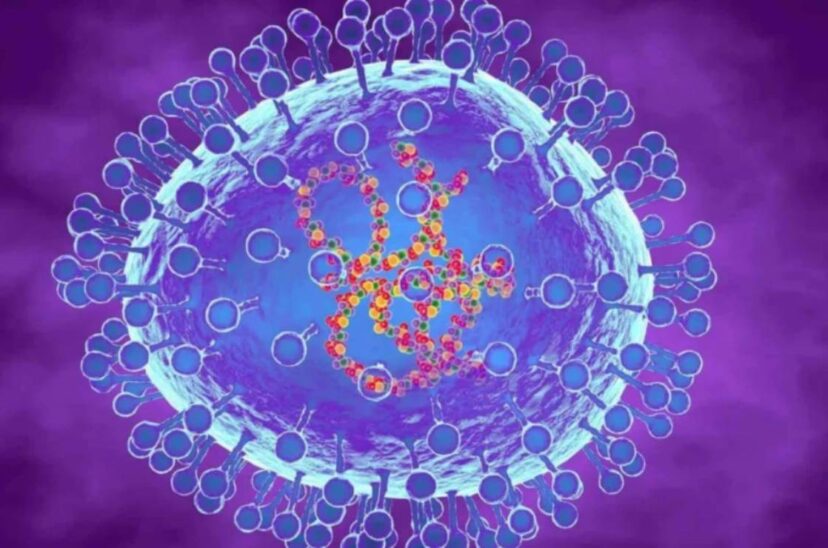 Metapneumovirus humano