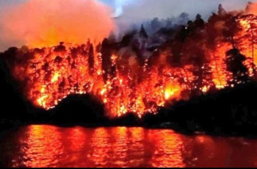 Incendio nahuel huapi