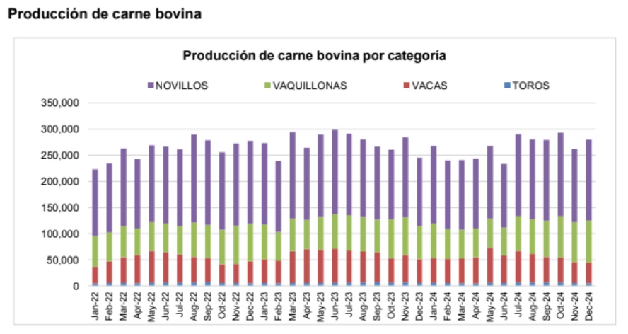 producción carne vacuna 2024