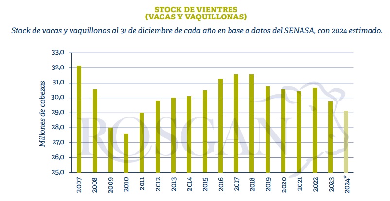 stock hembras y vientres