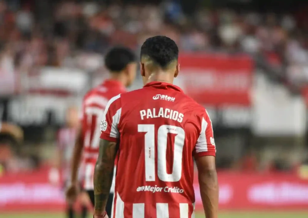 pelota libre estudiantes