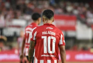 pelota libre estudiantes