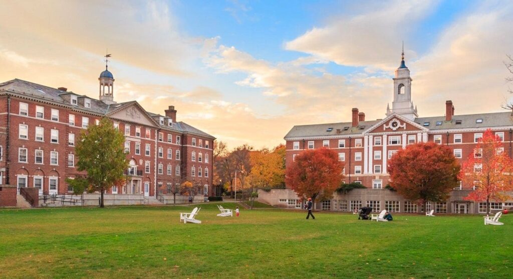 Harvard Curso