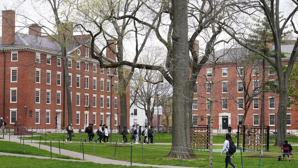 Harvard Curso