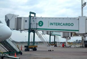 Intercargo privatización
