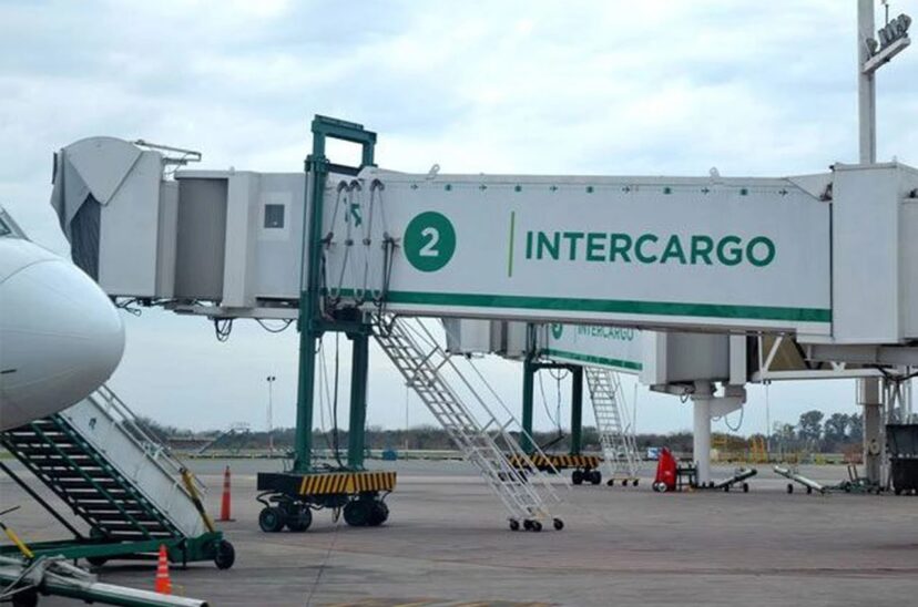 Intercargo privatización