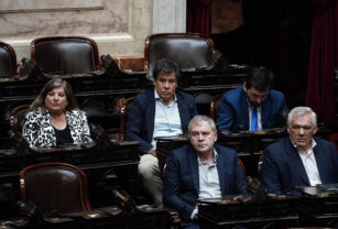 Milei diputados