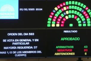Senado suspensión PASO
