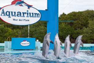 aquarium