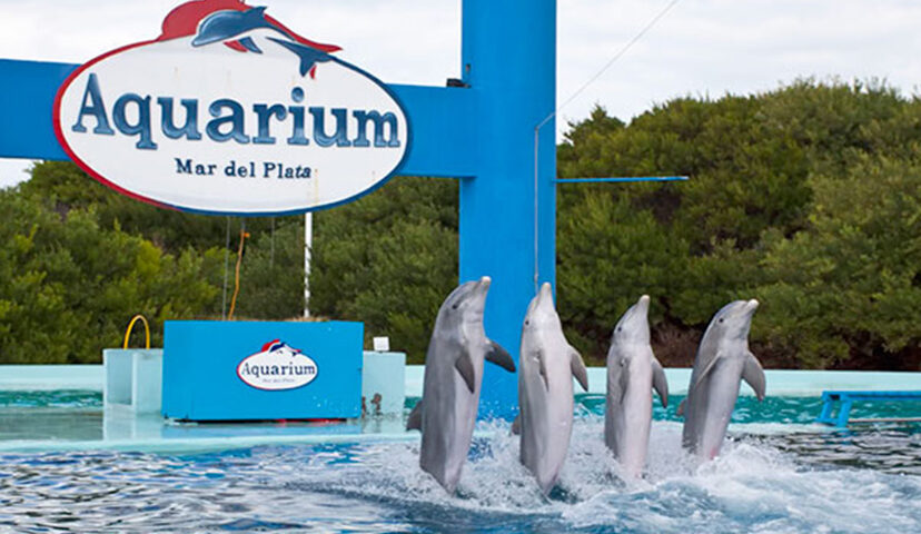 aquarium