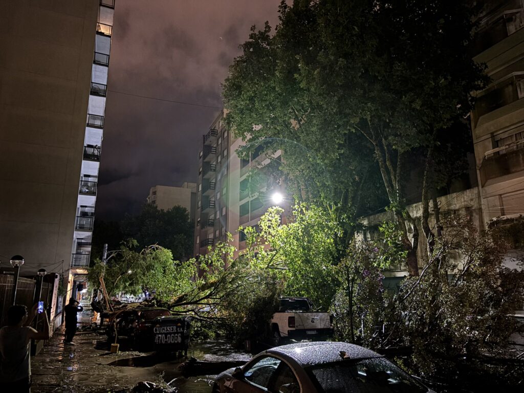 temporal mdq