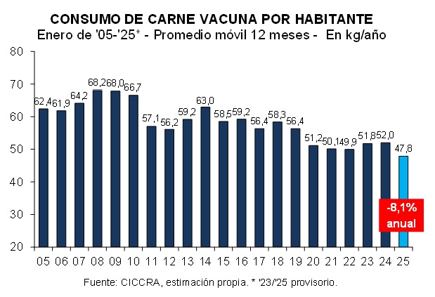 consumo carne vacuna enero 2025