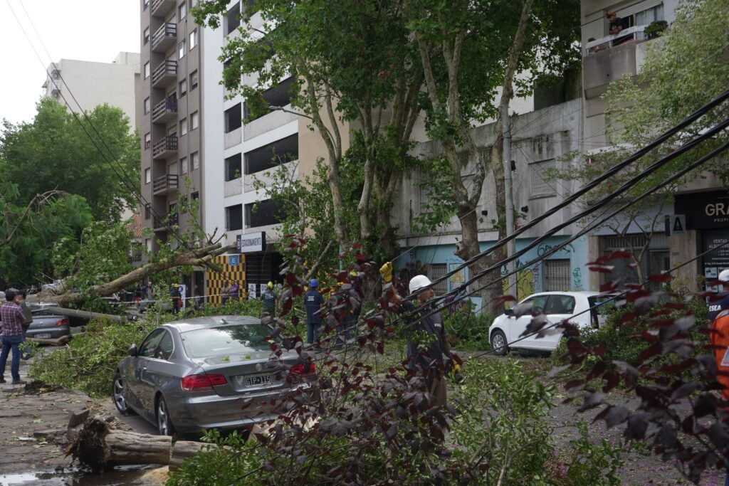 temporal mdq